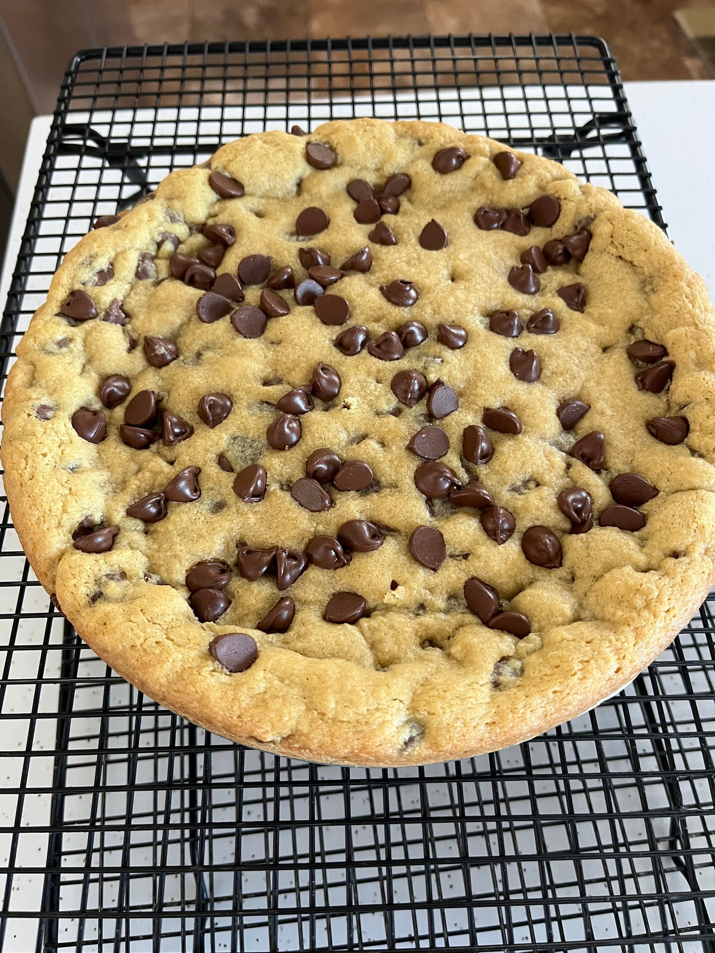 Chocolate Chip Cookie Cake 9"